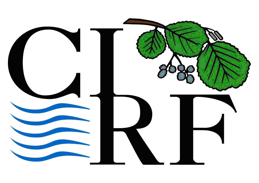 logo cirf
