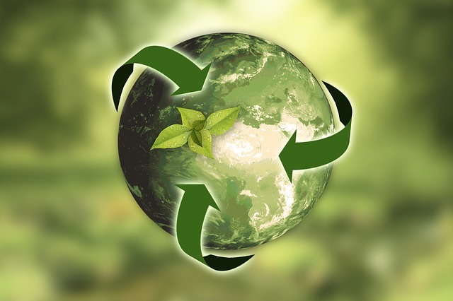 logo Greenprof